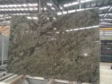 Namib Green Granite Slab for Kitchen/Bathroom/Wall/Floor