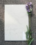 Ceramic Wall Tiles White Color 200X300mm