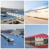 Heat Insulation/Chemical Resistance PVC Roofing Tiles