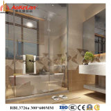 300X600mm Interior Inkjet Wall Tile Buildings Material Porcelain Tile