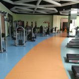 Gym Floor (Homogeneous)