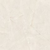 Luxurious Modern Rustic Polished Tile Construction & Decoration (FULL BODY)