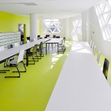 Homogeneous PVC Floor for Meeting Room