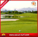 China Wholesale Hot Sale Best Quality PE Golf Grass Artificial