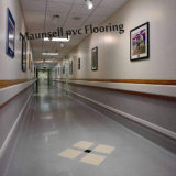 Professional Indoor Hospital Vinyl/PVC Flooring