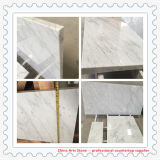 China Carrara White Marble Countertop for Kitchen and Bathroom Projects