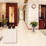 Polished Porcelain Floor Tile (VPM6503 600X600mm, 800X800mm)