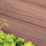 Co-Extruded Wood Plastic Composite Flooring for Outdoor