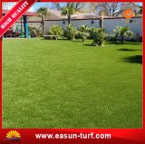 China Supplier Turf Grass Synthetic Lawn Price