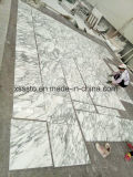 Greece Arabescato Marble Tiles for Wall and Flooring Polished