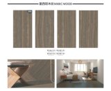 Foshan Factory of 60X120cm Wood Look Porcelain Tile (PD1621101P)