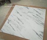 Elegant M500 Guangxi White Marble Tile for Floor/Wall Cladding Siding