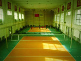 Vinyl PVC Flooring /Sports Floor for Volleyball Made in China
