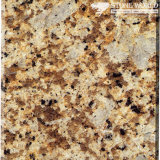 Polished Giallo Amazon Granite Tiles for Flooring & Wall (MT031)