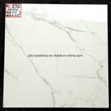 Building Material New Design-Jingan Glazed Marble Stone Floor Tiles