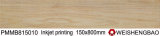 High Quality Top 10 Wholesale Wood Looking Ceramic Tile