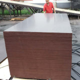 Brown Film Faced Shuttering Phenolic Poplar Plywood Building Material (6X1250X2500mm)