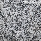 Polished G623 Rosa Beta Granite Tiles for Flooring & Wall (MT009)