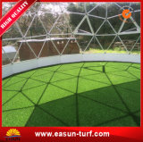 Wholesale Cheap and Best Quality Synthetic Grass for Soccer