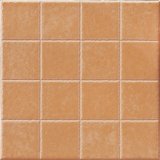 China 300*300mm Glazed Rustic Tiles RS-3r204