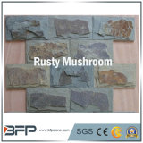 Natural Rusty Mushroom Slate Tiles for Wall Cladding