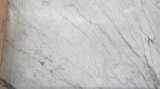 Hight Quality Bianco Carrara White Marble, Marble Tiles and Marble Slabs