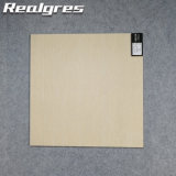 R6e02 Fire Resistant Ceramic Tile Ceramic Porcelain Polished Floor Tile 60 60 Color Tiles for Floor