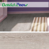 Modern Functional Interior Decor PVC Sheet Flooring