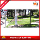 Landscaping Artificial Turf with Rubber Backing