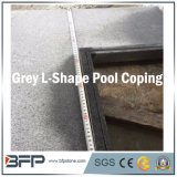 Grey Granite for L-Shape Swimming Pool Coping with Rebated Treatment