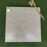 High Quality European Style Ceramic Floor Tile (SA6003)