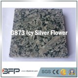 Granite Icy Silver Flower Polished Surface for Hotel Projects