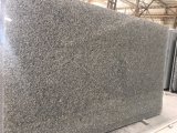 Grey Star Granite Polished Tiles&Slabs&Countertop