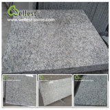 Tiger Skin White Natural Stone Granite Polished Tile for Floor/Wall