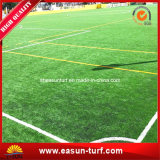 Long Lasting and Durable Synthesis Football Turf