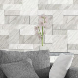 Good One Ceramic Wall Tiles 300X900mm