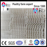 Raw Material Plastic Slat Floor for Chicken House