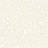Sh6019A Porcelanato Soluble Salt 60X60cm Polished Tile