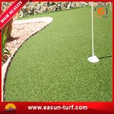 Cheap Sports Synthetic Grass for Golf Field