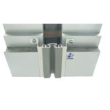 Ceiling Expansion Joint in Building Materials