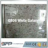 Popular Imported Polished Galaxy Granite Floor Tile and Top