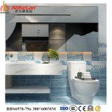 300X600mm Inkjet Matt Glazed Ceramic Tile for Bathroom Interior Wall
