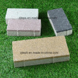 Porous/Water Permeable Paving Brick for Driveway/Foot Way
