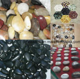 2-3cm Multicoloured Black Polished Natural Cobble &Pebble Stone