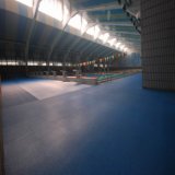 Anti-Slip PVC Swimming Flooring