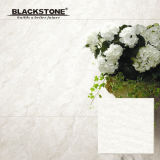 600X600mm Natural Stone Polished Porcelain Tile for Building Project (JZ6040)