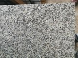 Cheap Price Nice Grey Color Chinese Granite Tile