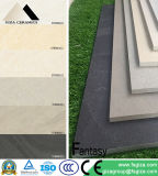 Building Material 600X600mm Porcelain Tile Gres Porcellanato Floor Tile (STB0601)