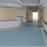 Hospital Floor (Homogeneous)