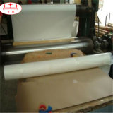 China 100g White Paper for Package Making